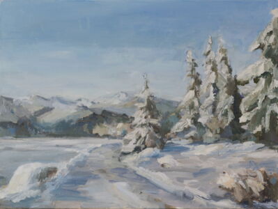 Winter Moments - Feldberg